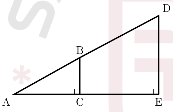 figure from the test